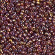 Miyuki seed beads 11/0 - Transparent rainbow siam 11-2461